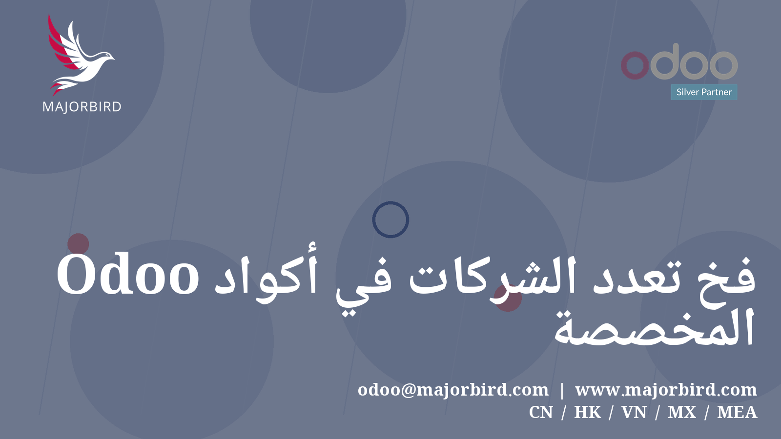 فخ تعدد الشركات في أكواد Odoo المخصصة