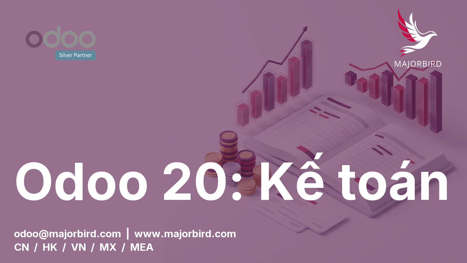 Odoo 20 Kế toán: Những thay đổi đối với đội ngũ tài chính